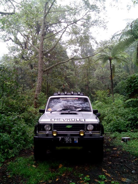 Banyuwangi Homestay Dış mekan fotoğraf